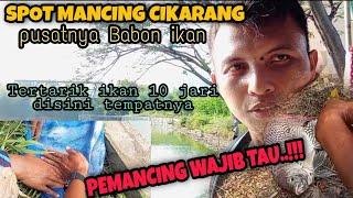 SPOT MANCING DANAU BELAKANG HOTEL SAHID LIPPO CIKARANG IKANNYA BABON-BABON SPOT JARANG TERJAMAH..