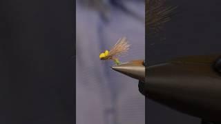 Tie this awesome high-floating caddis dry fly pattern #flytying #dryfly