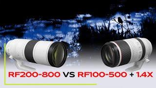 RF200-800mm vs RF100-500mm + 1.4x - Vergleich