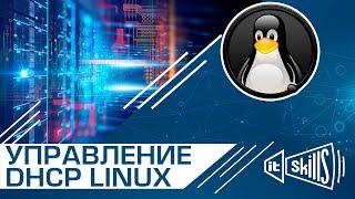 DHCP на Linux. Фиксированный IP и запрет на выдачу параметров