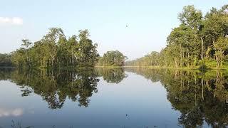 Sunset on a Peaceful Lake Relaxing Birds Sounds  Lake Ambience for Healing & Stress Relief