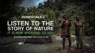 Story of Nature  UN Sustainable Development Goal #15 The Life on Land