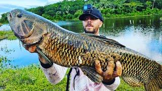 UM TRAIRÃO GIGANTESCO E CARDUME DE TUCUNARE DRENALINA FOI A MIL