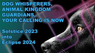 Dog Whisperers Animal Kingdom Guardians Your Calling is Now Solstice 2023 into Eclipse 2024