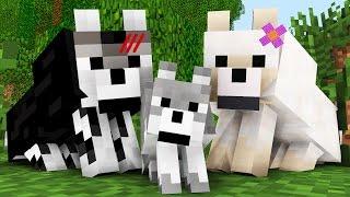 Wolf Life The Birth -- Minecraft Animation