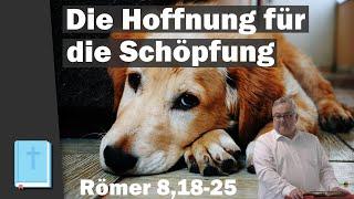 Die Hoffnung für die Schöpfung  Predigt Römer 818-25  Prediger Hermann Geller