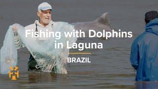 Fishing with Dolphins in Laguna  The Americas Nomad Stories  World Nomads