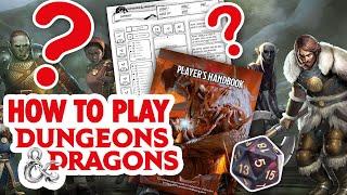 HOW TO PLAY DUNGEONS & DRAGONS - A beginners guide to D&D