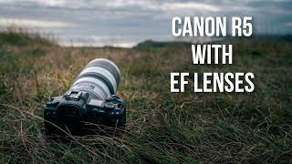 How Good is the Canon R5 with EF Lenses?