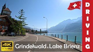 Driving in Switzerland 17 From Grindelwald to Lake Brienz and Innertkirchen  4K 60fps
