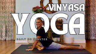 Vinyasa Yoga  60 Minute Practice with Todd McLaughlin