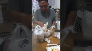 Mas Ndut sikat habis nasi goreng super jumbo #viral