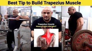 Best Tip to Build Trapezius Muscle  Best exercises for Trapezius Muscle #youtubevideos