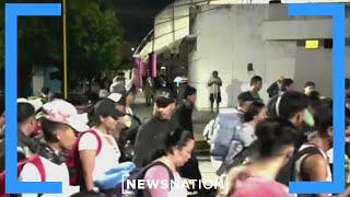 Migrant caravan expected to arrive at US southern border in coming months  NewsNation Now