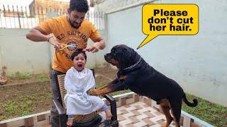 Rottweiler love his little friend  try not to laugh  Rotweiler Dog 