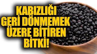 Kabızlığı geri dönmemek üzere bitiren bitki