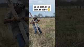 Pura alegría y diversión en el rancho 