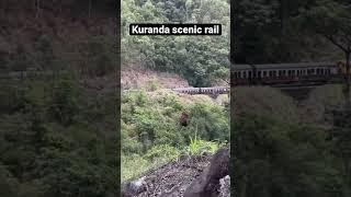 #australiatravel #cairns #australia #travel #rainforest #trains #scenic #kuranda #railway