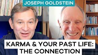 Karma and Past Life Rebirth & Buddhism  Joseph Goldstein and Dan Harris on Ten Percent Happier