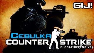 CSGO - Polaki Cebulaki MGE