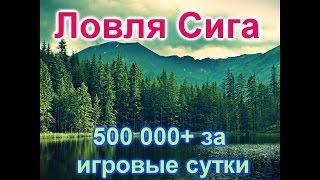 Русская рыбалка 3.9. Едем ловить Сига на Волхов 15 разряд. Зарабатываем 500 000 + за игровые сутки