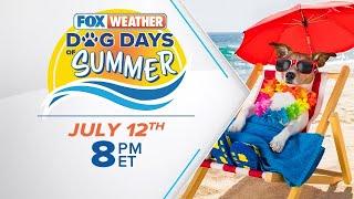 “Dog Days of Summer” Premieres Friday July 12th 8pm EST