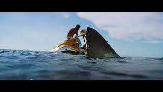 Shark Bait - Trailer In Cinemas 30 June