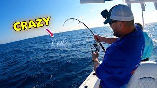 Insane offshore fishing tossing out live bait