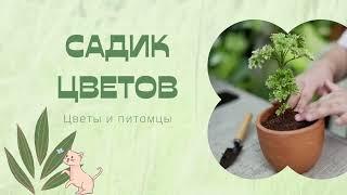 Где что и как... Обо мне и моих делах .