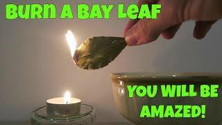 Burn A Bay Leaf in Your House.. The Reason? Youll Be Amazed 