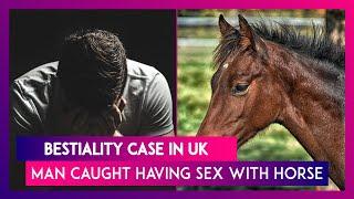 Bestiality Case In UK Man Caught Having Sex With Horse In Kent