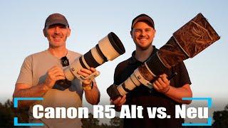 Canon R5 Kamera für Tierfotografen - Wirklich besser als die Alte? @ChrisKaula