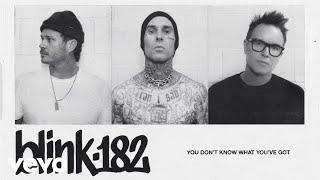 blink-182 - YOU DONT KNOW WHAT YOUVE GOT Official Lyric Video