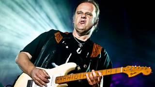 Walter Trout - Turn Off Your TV