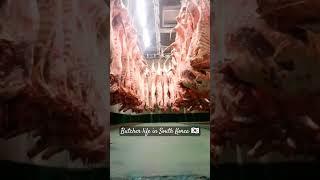 BUTCHER IN SOUTH KOREA 