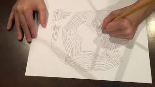 Making a simple topographic map of an island Time lapse