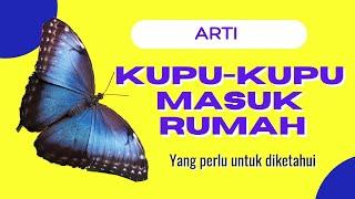 Arti kupu-kupu masuk rumah siang dan malam hari