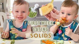 First Week of Our Baby Led Weaning Journey  Babys First Food and Starting Solids