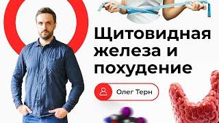 Помогает ли щитовидная железа худеть? Щитовидка и похудение