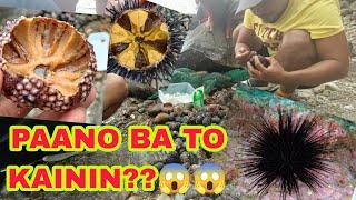 SOBRANG SARAP  TUYOM MUKBANG  SEA URCHIN