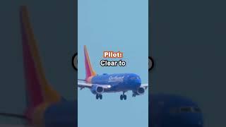 EMERGENCY Landing due to Bird Strike - Engine Failure