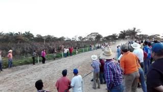 Carreras de Caballos en minatitlan Veracruz