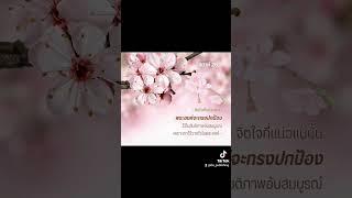 #จงจดจ่อที่พระเจ้าและวางใจในพระองค์  #ฉบับอธิบาย #อมตธรรมร่วมสมัย #IBS #คำหนุนใจ #อาเมน