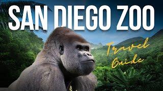 San Diego Zoo FULL TOUR the 10 Best Things to Do 4k