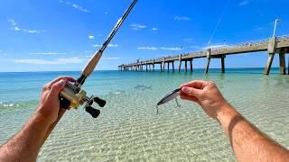 3 DAYS OF PIER FISHING MADNESS