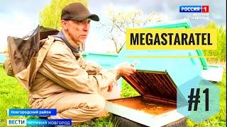 MegaStaratel моё #пчеловодство - часть #1