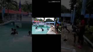 Mga buwaya naglalaro sa pool