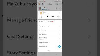How to unpin conversation on snapchat 2024 Initial Solution