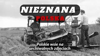 Jak wyglądały żniwa przed laty. Polska wieś kiedyś E4