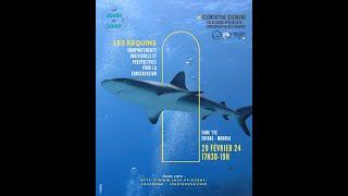 JDS fev2024 Les requins  comportements individuels et perspectives pour la conservation